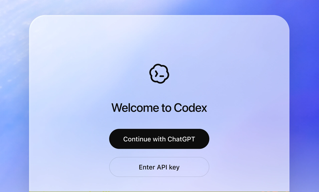图一 Codex欢迎界面