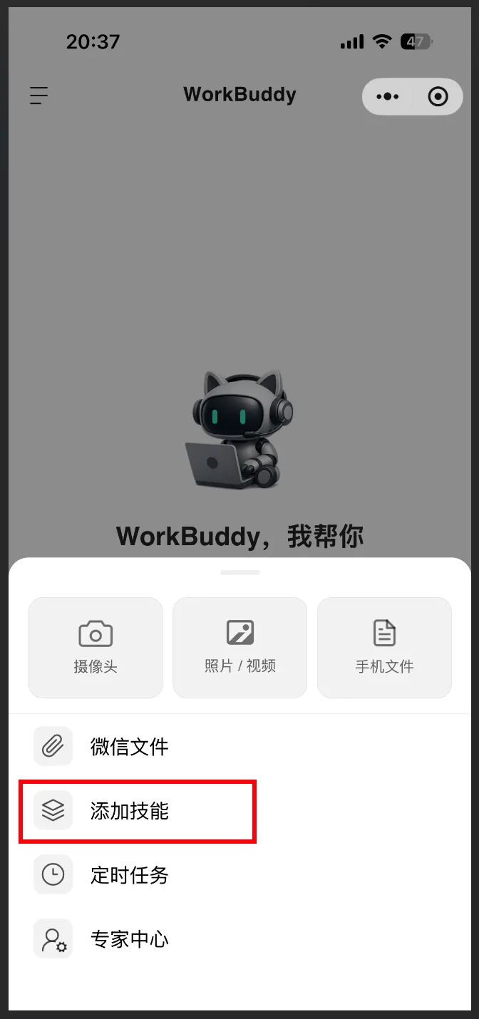 飞书文档 - 图片