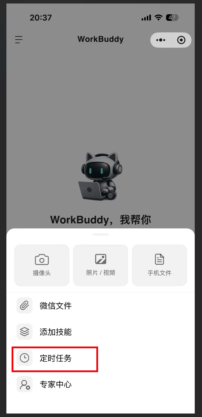飞书文档 - 图片