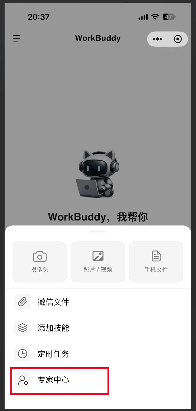 飞书文档 - 图片