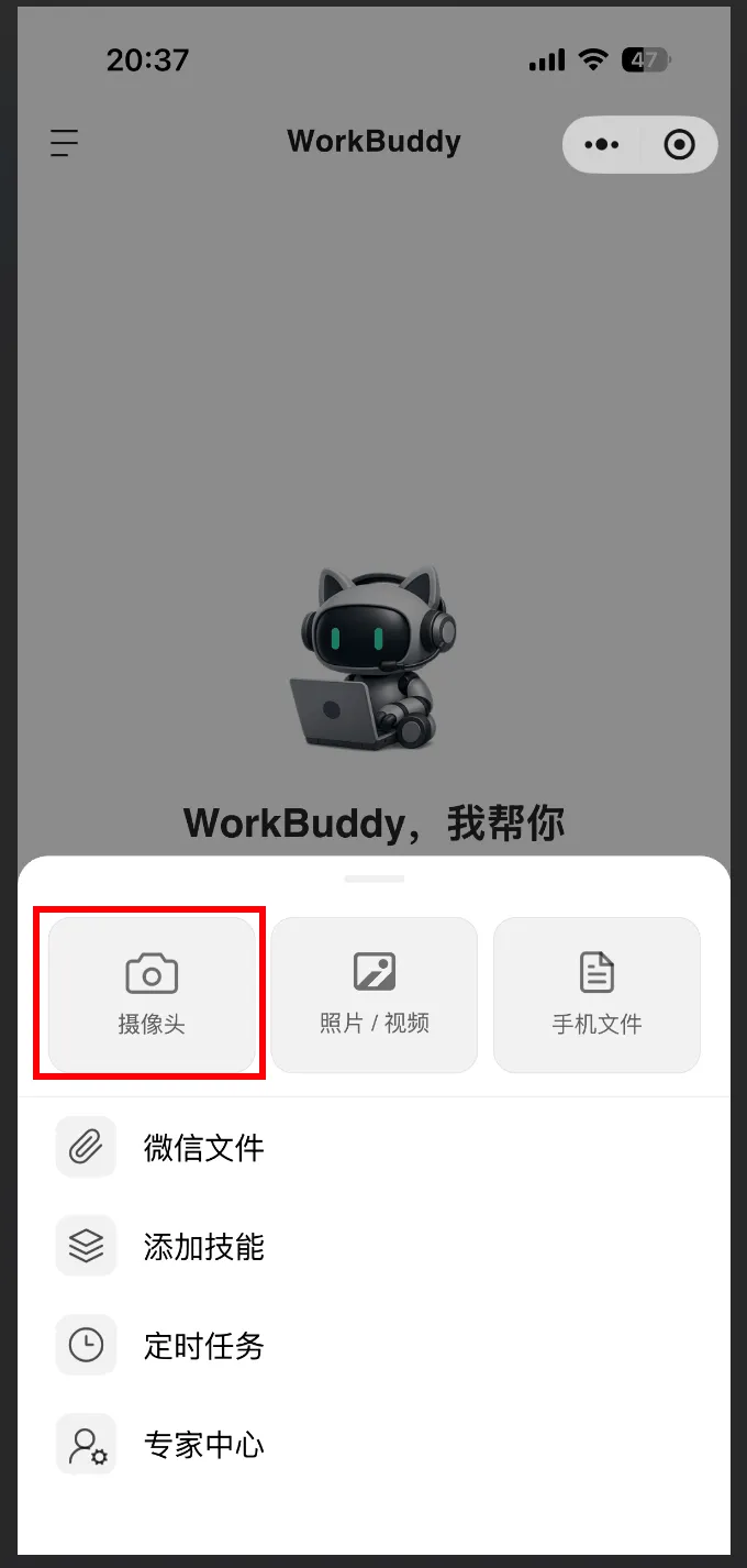 飞书文档 - 图片