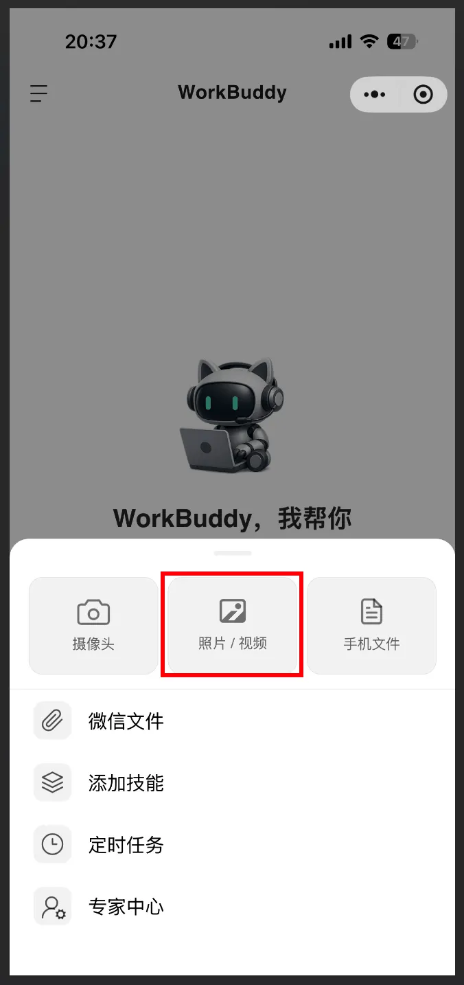 飞书文档 - 图片