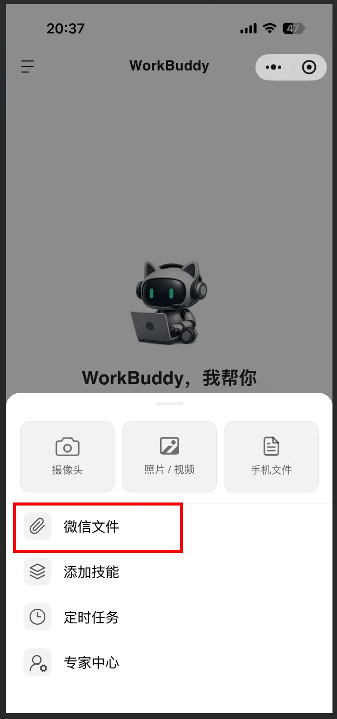 飞书文档 - 图片