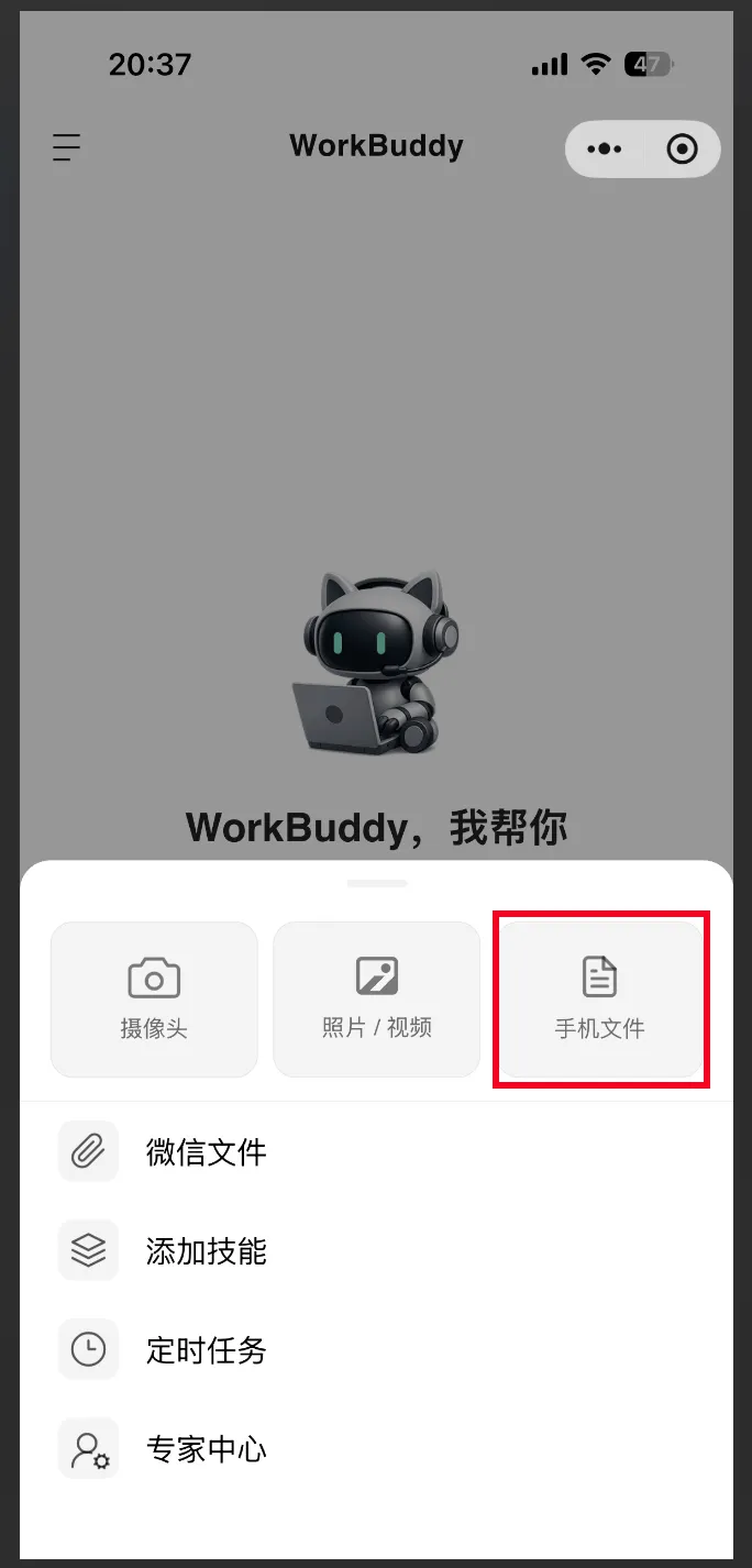 飞书文档 - 图片