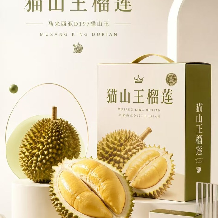 飞书文档 - 图片
