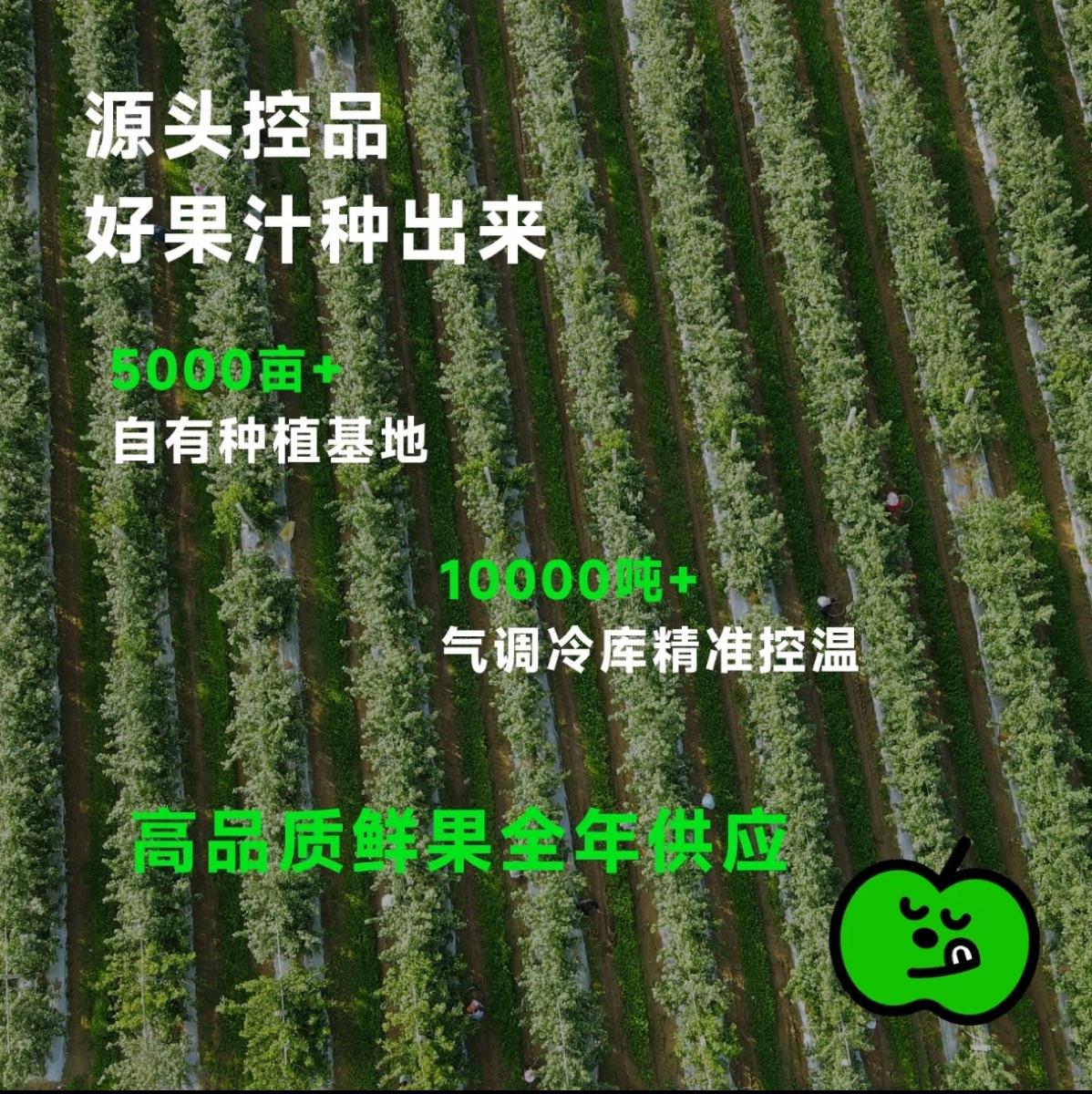 飞书文档 - 图片